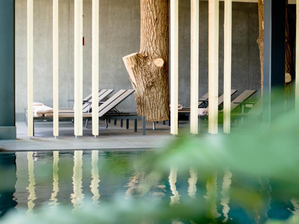 Naturhotel Euler Neuschönau